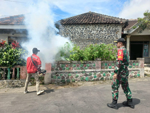 Babinsa Bogoarum Dampingi Perangkat Desa Dan Dinkes Basmi DBD, Lakukan Fogging di Desa Binaan