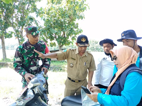 Babinsa Ramil 13 Bendo Dampingi Petugas (BPP) Badan Pelaksana Penyuluh Pertanian Pengecekan Pemetakan Sawah